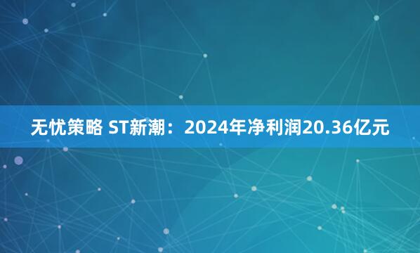 无忧策略 ST新潮：2024年净利润20.36亿元