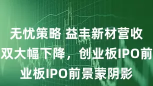 无忧策略 益丰新材营收、净利双双大幅下降，创业板IPO前景蒙阴影